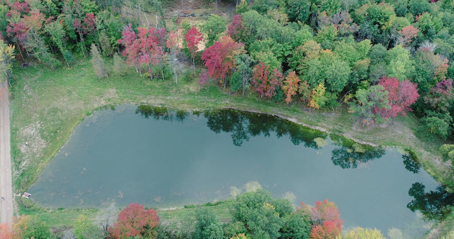Michigan woodland in autumn along the Sunrise Coast